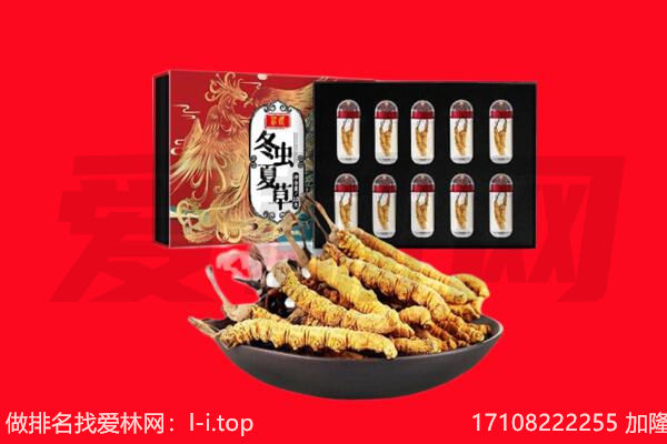 芜湖市无为回收虫草.jpg